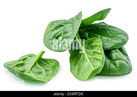 Pila di foglie di spinaci isolati su sfondo bianco. Spinaci verdi freschi. Primo piano Foto Stock