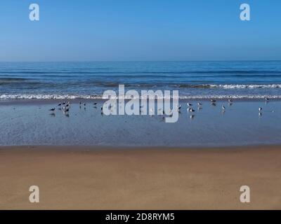 Escursioni nella splendida costa dell'Algarve del Portogallo-Praia Maria Luisa, Olhos de Agua, Albufeira Foto Stock