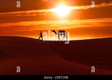 Cameleers, Camel Drivers al tramonto. Deserto di Thar sul tramonto Jaisalmer, Rajasthan, India. Foto Stock