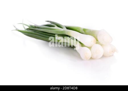 erba cipollina fresca su sfondo bianco Foto Stock