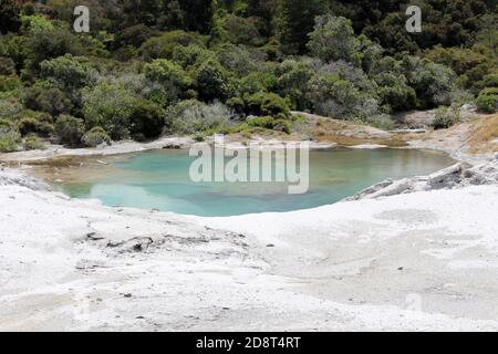 Blue Pool te Puia o Whakarewarewa, Nuova Zelanda Foto Stock