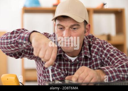 q viti a testa cilindrica un cacciavite nella parete di legno Foto Stock