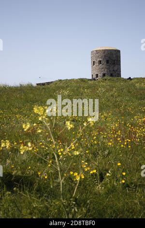 Una delle 15 torri a scappatoia a Guernsey, Isole del canale Foto Stock