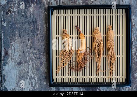 Radici di Ginseng asciutte sul cestello Foto Stock