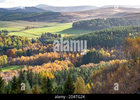 BALMORAL TENUTA FIUME DEE VALLEY ABERDEENSHIRE SCOZIA GUARDANDO VERSO LA DISTILLERIA EDIFICI CON ALBERI AUTUNNALI Foto Stock