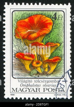 UNGHERIA - CIRCA 1986: Francobollo stampato dall'Ungheria, mostra funghi, circa 1986 Foto Stock