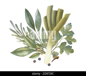 Composizione vegetale acquerello con erbe, porro e pepe nero. Un'illustrazione luminosa di cibo fresco sano. Ideale per biglietti di auguri, inviti. Foto Stock