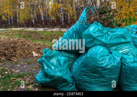 Sacchi di rifiuti in natura in un parco all'aperto blu In autunno le foglie della foresta nel parco sono raccolte in un mucchio Foto Stock