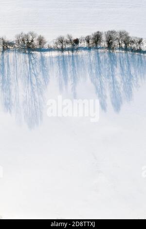 Vista aerea degli alberi lungo una strada con un'incredibile ombra sulla neve. Scenario invernale. Foto Stock