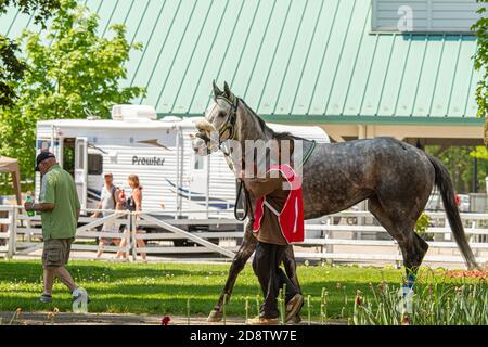 Ippodromo di Fort Erie Foto Stock