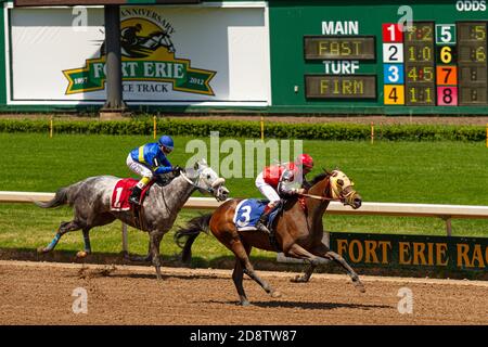 Ippodromo di Fort Erie Foto Stock