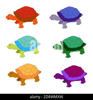 Set di graziose tartarughe multicolore isolate su sfondo bianco. Illustrazione Vettoriale