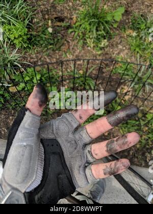 Mano sporca e grassa in un guanto dopo aver cambiato la moto catena Foto Stock