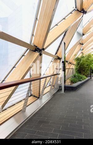 Piante verdi al moderno crossrail Place roof Garden in Canarie Molo Foto Stock