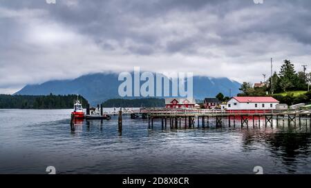 Il porto della città di Tofino nel Pacific Rim sull'isola di Vancouver, British Columbia, Canada Foto Stock