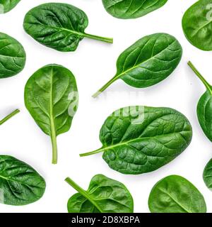 Layout creativo fatto di foglie fresche di spinaci isolate su sfondo bianco. Modello. Spinach bambino verde piatto. Foto Stock