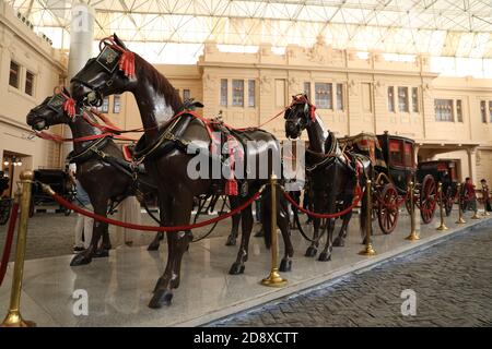 Cairo, Egitto. 1 novembre 2020. Le carrozze sono esposte nel Museo reale delle carrozze del Cairo, Egitto, il 1° novembre 2020. Il Royal Carriages Museum del Cairo riaprì ai visitatori il 31 ottobre 2020 dopo la chiusura di quasi due decenni. Il museo ospita le carrozze reali e gli accessori delle guardie di cavalli della dinastia Mohamed Ali, molti dei quali erano squisiti regali stranieri alla famiglia reale. Il museo fu chiuso per restauri nel 2001, ma presto il progetto venne interrotto. Il progetto di restauro è stato rilanciato dal governo egiziano nel 2017. Credit: Ahmed Gomaa/Xinhua/Alamy Live News Foto Stock