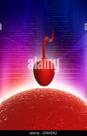 Cellula di sperma che cerca di raggiungere un ovum umano Foto Stock