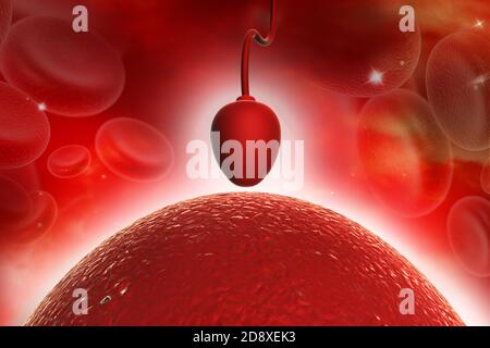 Cellula di sperma che cerca di raggiungere un ovum umano Foto Stock
