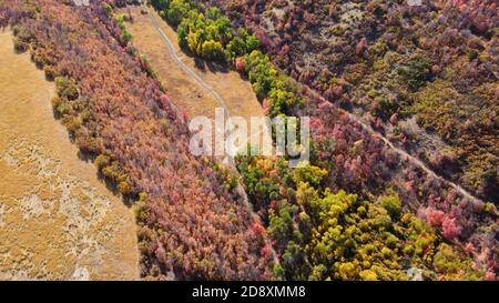 Foto aerea dei colori autunnali su un sentiero nelle Wasatch Mountains nello Utah. Foto Stock