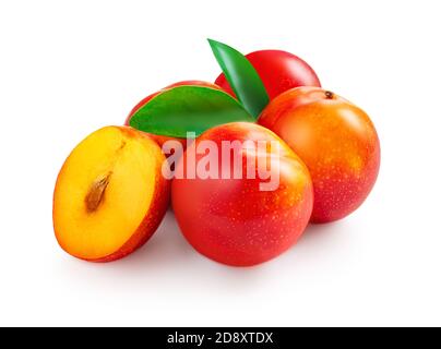 Prugne intere e tagliate fresche, con foglie isolate su sfondo bianco. Foto Stock