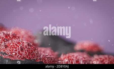 Cancro crescita tumorale cellule tumorali nel trattamento del tumore oncologico tissutale concetto di ricerca sui vaccini rendering 3d Foto Stock