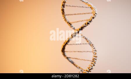 DNA, acido deossiribonucleico, struttura di molecola a doppia elica, catene polinucleotidiche, atomi, filamenti di struttura genetica umana illustrazione modello 3D Foto Stock