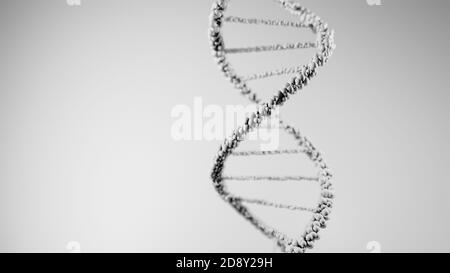 DNA, acido deossiribonucleico, struttura di molecola a doppia elica, catene polinucleotidiche, atomi, filamenti di struttura genetica umana illustrazione modello 3D Foto Stock