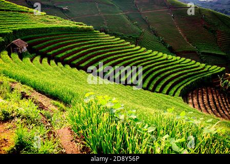 Preso @Argapura, Majalengka, Giava Occidentale, Indonesia Foto Stock