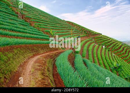 Preso @Argapura, Majalengka, Giava Occidentale, Indonesia Foto Stock