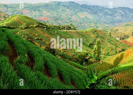 Preso @Argapura, Majalengka, Giava Occidentale, Indonesia Foto Stock