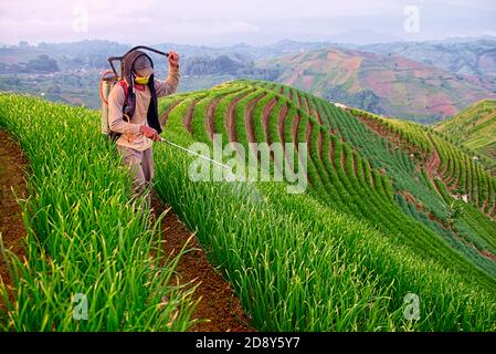 Preso @Argapura, Majalengka, Giava Occidentale, Indonesia Foto Stock