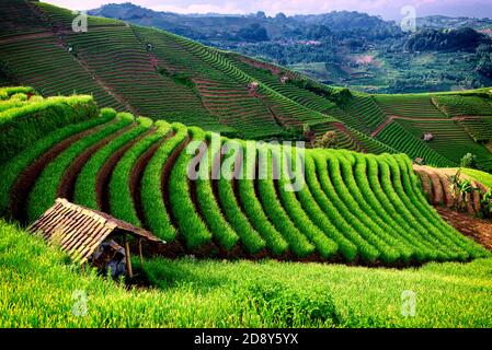 Preso @Argapura, Majalengka, Giava Occidentale, Indonesia Foto Stock