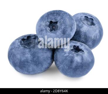 Mirtilli appena raccolti isolati su sfondo bianco. Primo piano di bacche selvatiche. Cibo sano estivo. Foto Stock