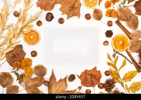 Uno sfondo autunnale fatto con foglie asciutte con spazio di copia Foto Stock