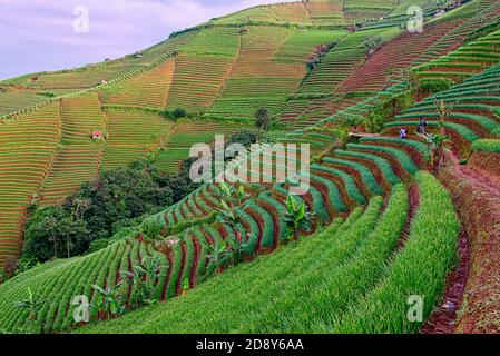 Preso @Argapura, Majalengka, Giava Occidentale, Indonesia Foto Stock