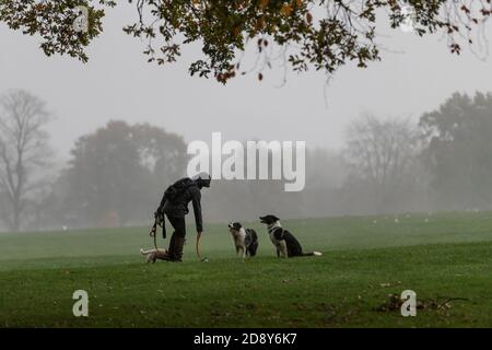 Northampton, Regno Unito, Meteo, 2 novembre 2020. La pioggia pesante lo rende miserabile per i camminatori del cane che danno ai loro animali domestici l'esercitazione mattutina ad Abington Park. Credit: Keith J Smith./Alamy Live News Foto Stock