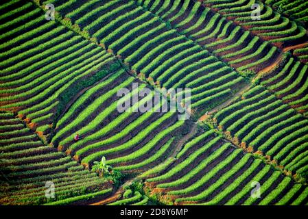 Preso @Argapura, Majalengka, Giava Occidentale, Indonesia Foto Stock