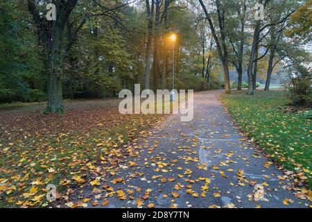 Vista notturna : paesaggio di vicolo con lampioni di strada in notte nebbiosa. Strada scura illuminata con luci di strada. Atmosfera romantica o suggestiva Foto Stock