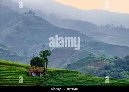 Preso @Argapura, Majalengka, Giava Occidentale, Indonesia Foto Stock