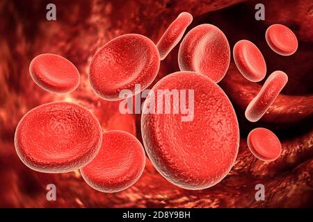 flusso di cellule del sangue Foto Stock