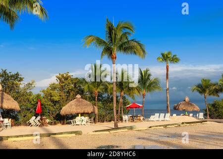 Bella spiaggia e molo in località turistica al mattino soleggiato a Key Largo, Florida, Stati Uniti. Foto Stock