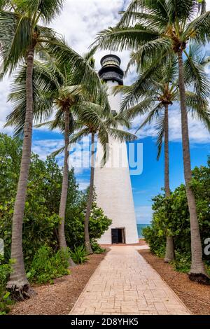 Palme intorno al faro. Faro di Cape Florida, Key Biscayne, Miami, Florida, Stati Uniti Foto Stock