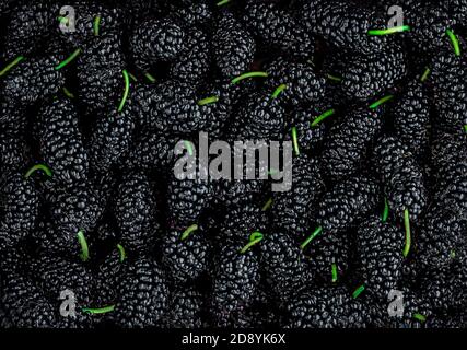 Mulberry Berries sfondo. Carta da parati di mirtilli. Concetto di cibo sano estivo Foto Stock