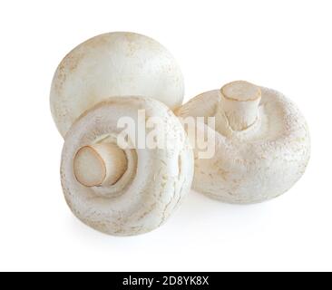 Funghi champignon freschi isolati su sfondo bianco. Tre champignons primo piano Foto Stock