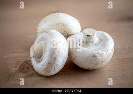 Funghi champignon freschi su tavola di legno, guardaroba. Camioncini organici vista dall'alto. Spazio di copia Foto Stock