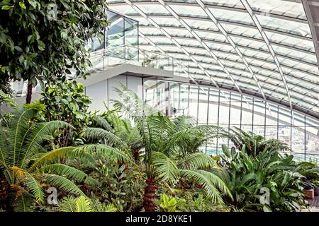 Interni moderni con piante verdi allo Sky Garden di Londra Foto Stock