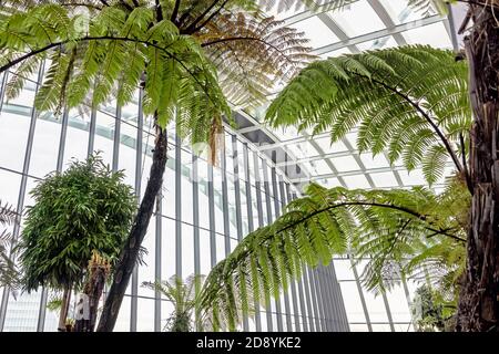 Interni moderni con piante verdi allo Sky Garden di Londra Foto Stock