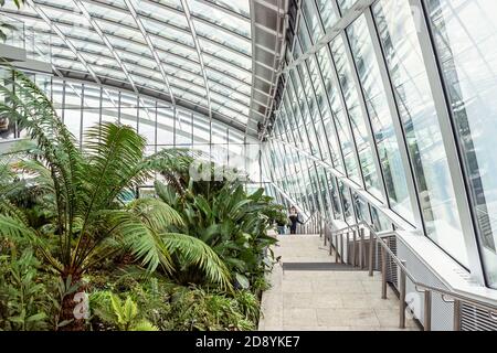 Interni moderni con piante verdi allo Sky Garden di Londra Foto Stock