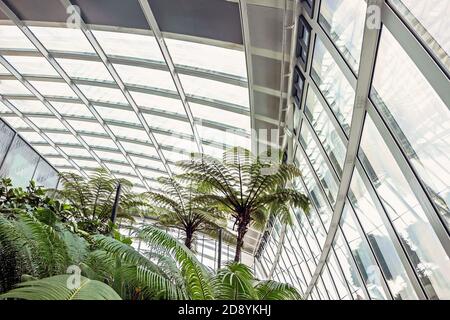 Interni moderni con piante verdi allo Sky Garden di Londra Foto Stock